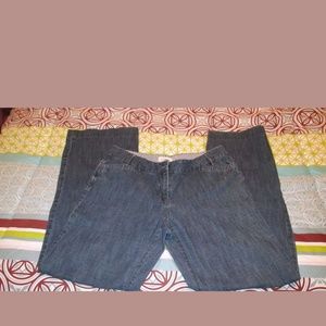Ann Taylor Loft Jeans Julie Style